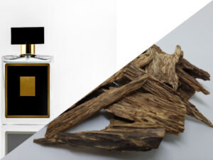 Original Oudh oil (100 ml) , (Delivery charge free for 1000 ml/ Quantity 10)